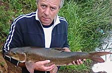Barbel
